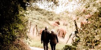 Co to jest emerytura honorowa?