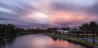 Jak CBD wpływa na mózg?