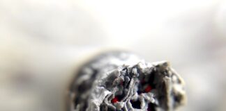 Co grozi za posiadanie nasion marihuany?