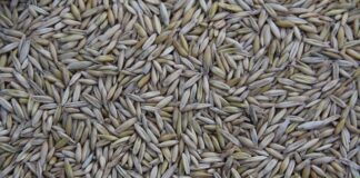 Kto produkuje zawiasy dla IKEA?