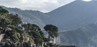 Ile kosztuje wydrukowanie plakatu?