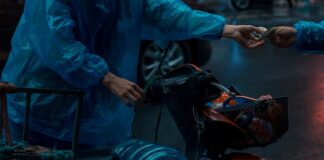 Czy kurier IKEA dzwoni?