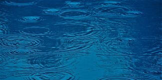 Co ma największy wpływ na wynik finansowy?