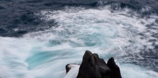 Jaka będzie cena karty wędkarskiej w 2023 roku?