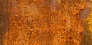 Czym objawia się brak żelaza w organizmie? Czym objawia się brak żelaza w organizmie?