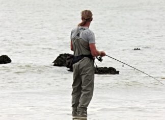 Jak wyregulować zawiasy w drzwiach?