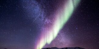 Jaki namiot do lasu?