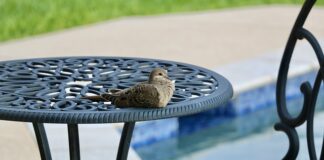 Co kupić do wody w basenie?